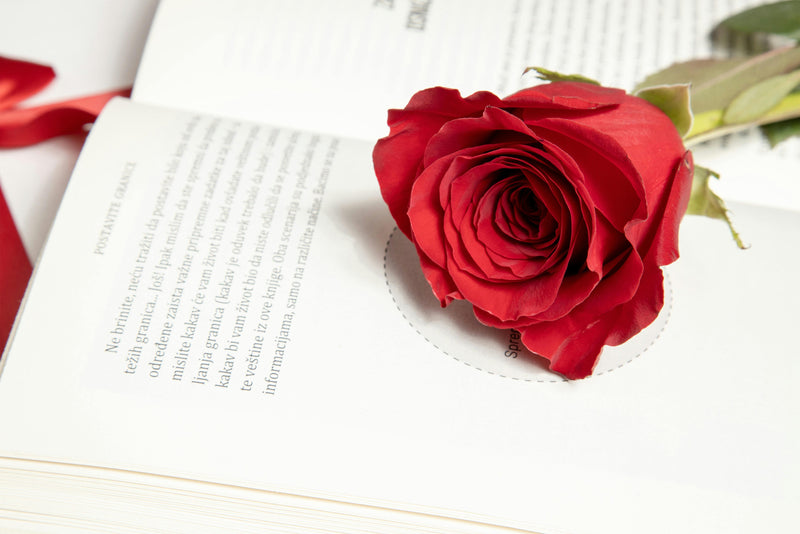 Romance Books