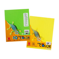 Biotop Fine Board Short 160gsm 10 Sheet (Color May Vary) - Fine Paper