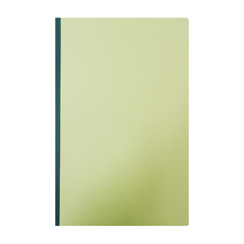 Folder Pressboard Long Green Plain - Files & Folders