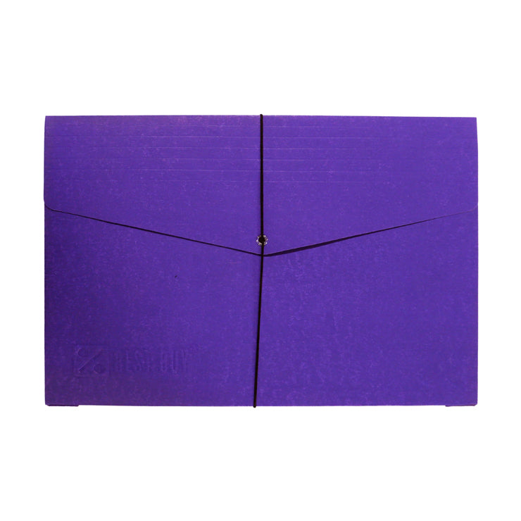 Best Buy Expanding Envelope Long Violet - School & Office Supplies