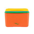 Wiggle Wiggle Ice Box, Orange & Yellow