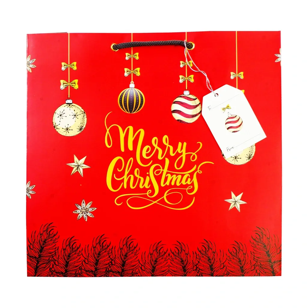 Best Buy Printed Gift Bag Christmas Medium Merry Christmas Text with Gift Tags 30x30cm xmgbm54