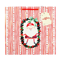Best Buy Printed Gift Bag Christmas Medium Santa with Gift Tags 30x30cm xmgbm57