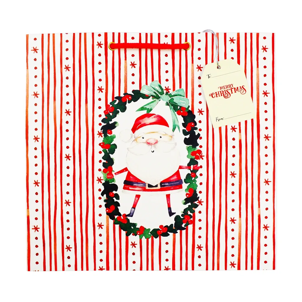 Best Buy Printed Gift Bag Christmas Medium Santa with Gift Tags 30x30cm xmgbm57