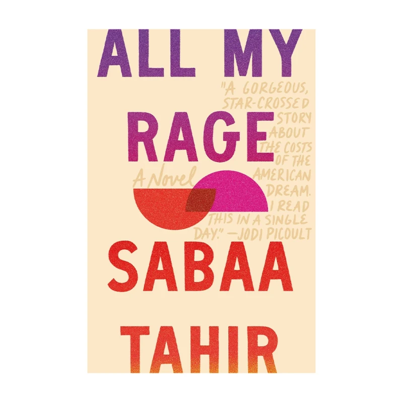 All My Rage - Teens Fiction