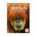 Animals A Visual Encyclopedia By DK - Trade Paperback - Children's - Reference