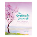 The Gratitude Journal by Lisa Dyer Trade Paperback - Non-Fiction - Self-Help