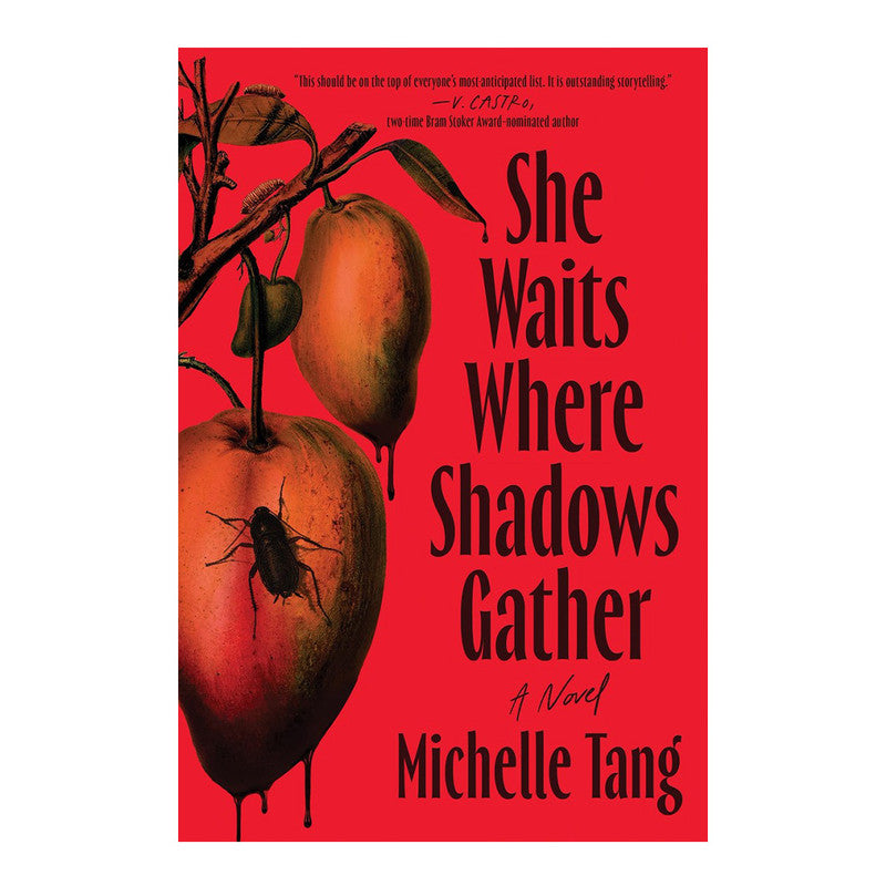 *PRE-ORDER* She Waits Where Shadows Gather by Michelle Tang - Trade Paperback