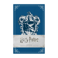 Harry Potter: Ravenclaw Ruled Pocket Journal (Insights Journals)
