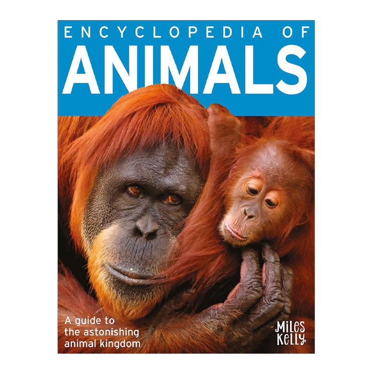 Encyclopedia of Animals - Trade Paperback - Books for Kids