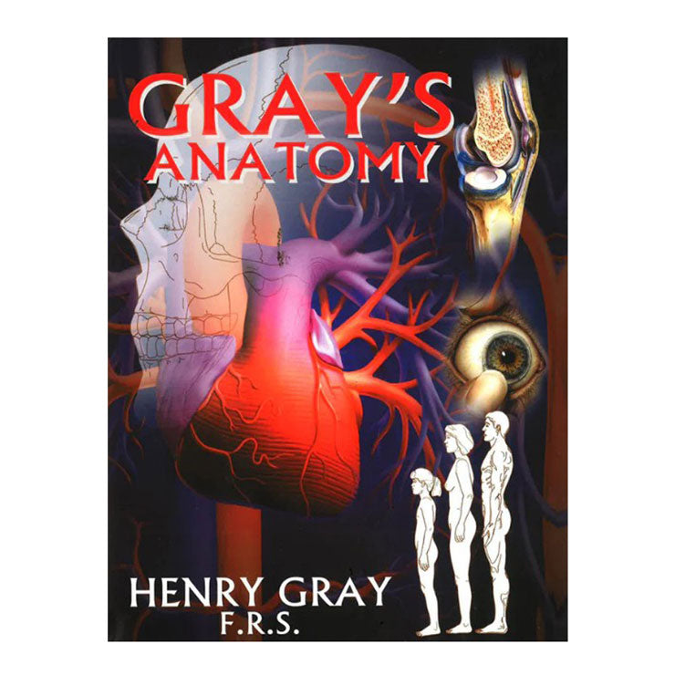 Gray's Anatomy: Big Bad Wolf Books by Henry Gray - Hardcover
