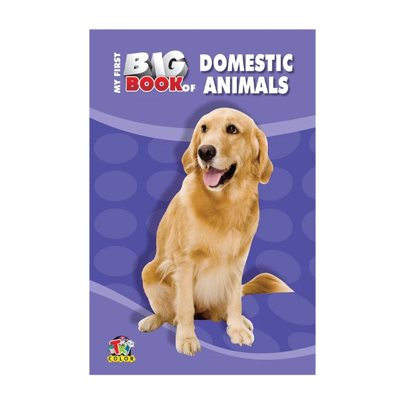 My First Big Book Of Domestic Animals Trade Paperback - Animals