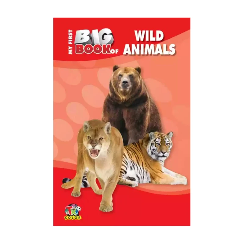 My First Big Book of Wild Animals by Mary Rodgers - Trade Paperback - Children's Books