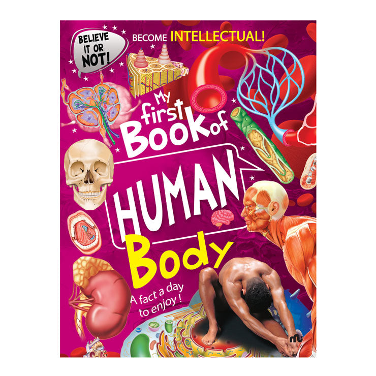 My First Book of Human Body by Moonstone - Hardcover - Children's General References