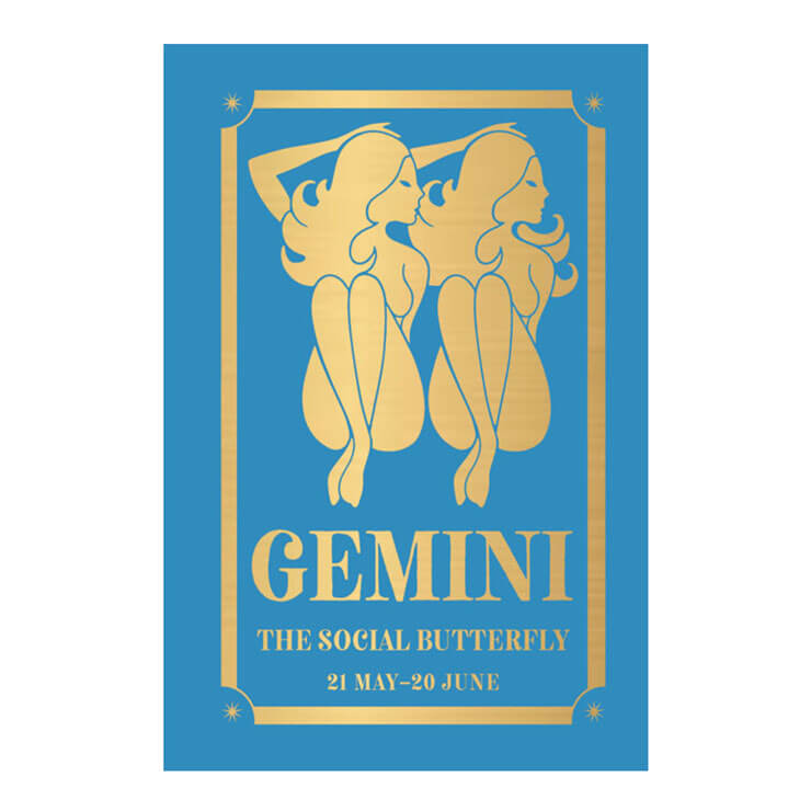 Gemini: The Social Butterfly - Hardcover - Non-fiction - Crafts, Hobbies & Home