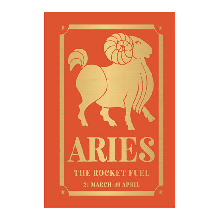 Aries: The Rocket Fuel - Hardcover - Non-fiction - Crafts, Hobbies & Home