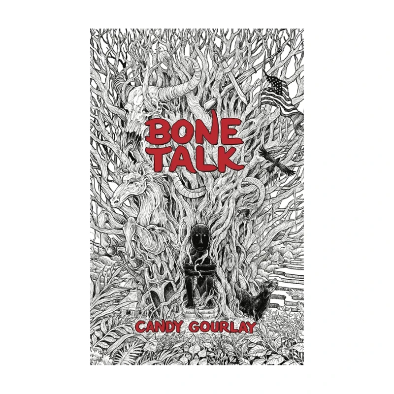 Bone Talk Trade Paperback - Teens Fiction
