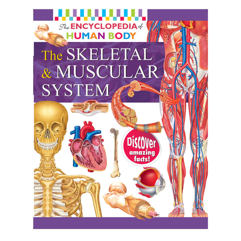 Encyclopedia Of The Human Body: The Skeletal And Muscular System By Rohit, Rohilla Trade Paperback