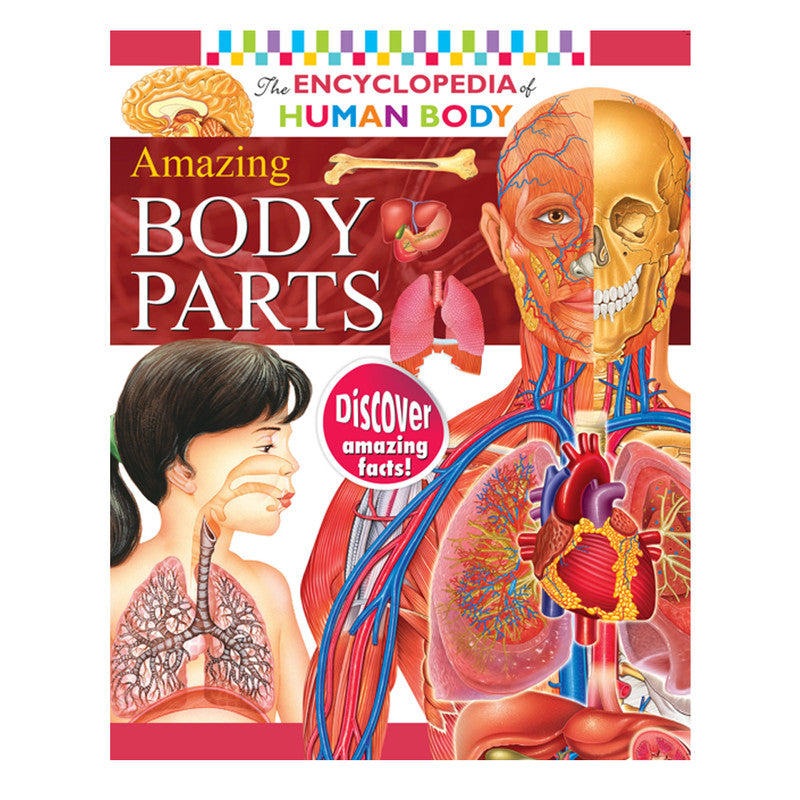 Encyclopedia Of The Human Body: Amazing Body Parts By Rohit, Rohilla Trade Paperback