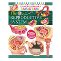 Encyclopedia Of The Human Body: The Reproductive System By Rohit, Rohilla Trade Paperback