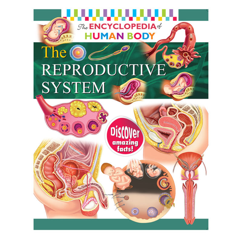 Encyclopedia Of The Human Body: The Reproductive System By Rohit, Rohilla Trade Paperback