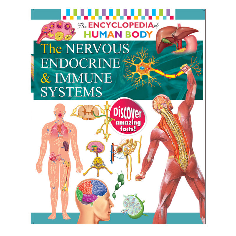 Encyclopedia Of The Human Body: The Nervous Endocrine And Immune Systems By Rohit, Rohilla Trade Paperback