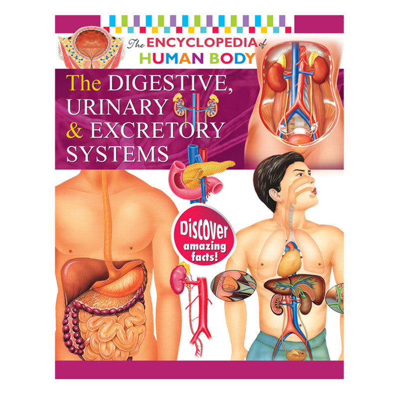 Encyclopedia Of The Human Body: The Digestive, Urinary, And Excretory Systems By Rohit, Rohilla Trade Paperback