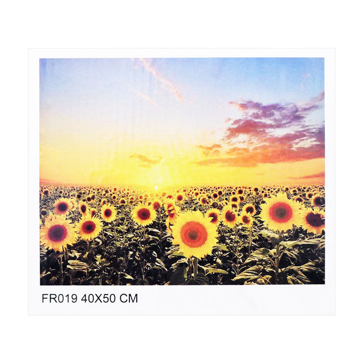 Skylar Paint By Numbers FR019 Framed 40x50cm Sunflower Field - Arts & Crafts